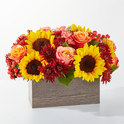 Fresh Cider Bouquet – BELLE FLEURS & DESSINS, Lexington KY