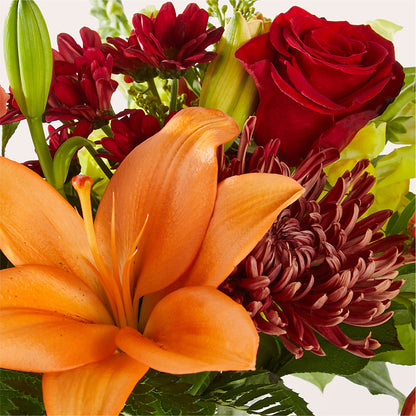 Sweater Season - A Florist Original – BELLE FLEURS & DESSINS, Lexington KY
