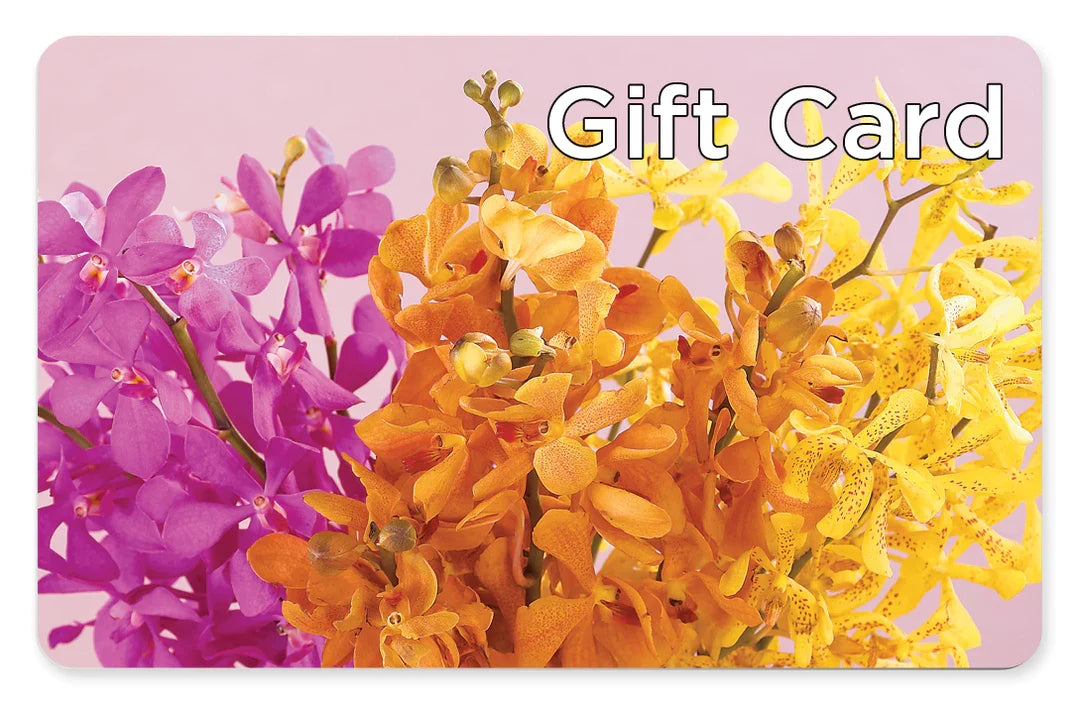 Gift Card – BELLE FLEURS & DESSINS, Lexington KY