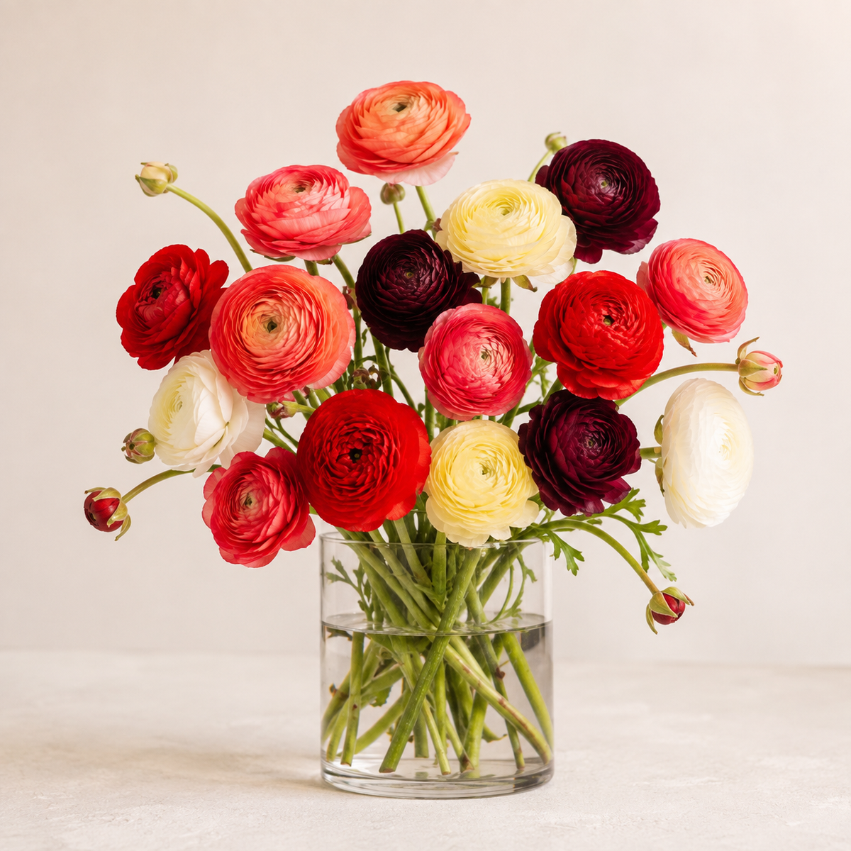 Jewel-Tone Ranunculus – BELLE FLEURS & DESSINS, Lexington KY