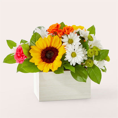 Sun-drenched Blooms Box Bouquet – BELLE FLEURS & DESSINS, Lexington KY