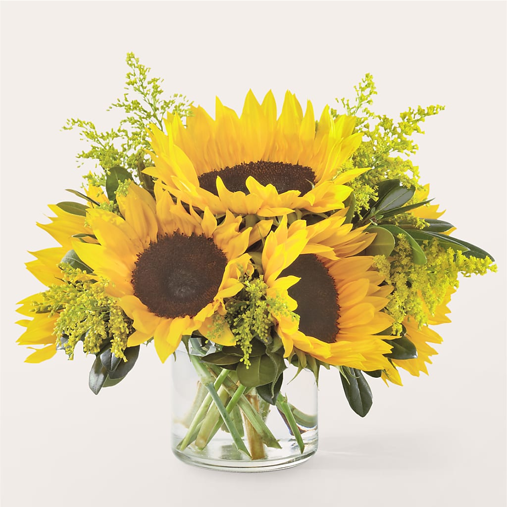 Beaming Sunflower Bouquet – BELLE FLEURS & DESSINS, Lexington KY