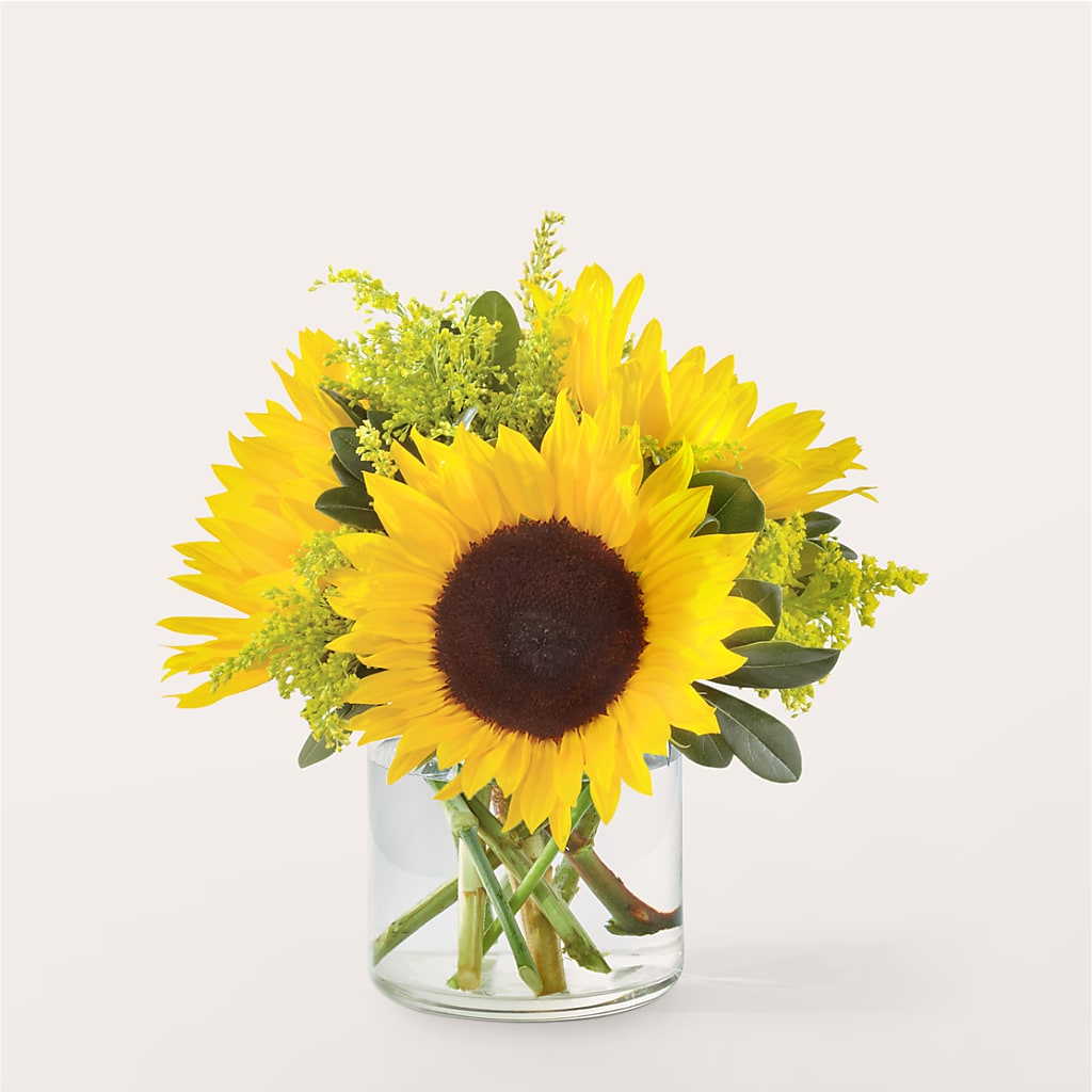 Beaming Sunflower Bouquet – BELLE FLEURS & DESSINS, Lexington KY