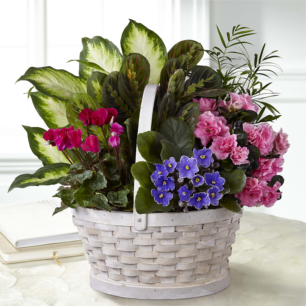 Peaceful Garden Planter – BELLE FLEURS & DESSINS, Lexington KY