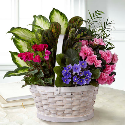 Peaceful Garden Planter – BELLE FLEURS & DESSINS, Lexington KY