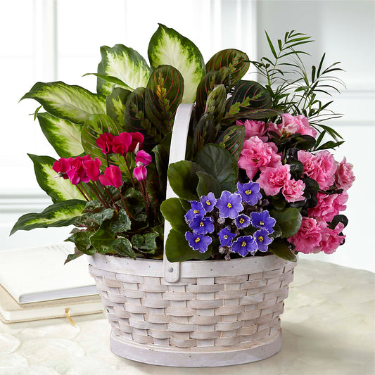 Peaceful Garden Planter – BELLE FLEURS & DESSINS, Lexington KY