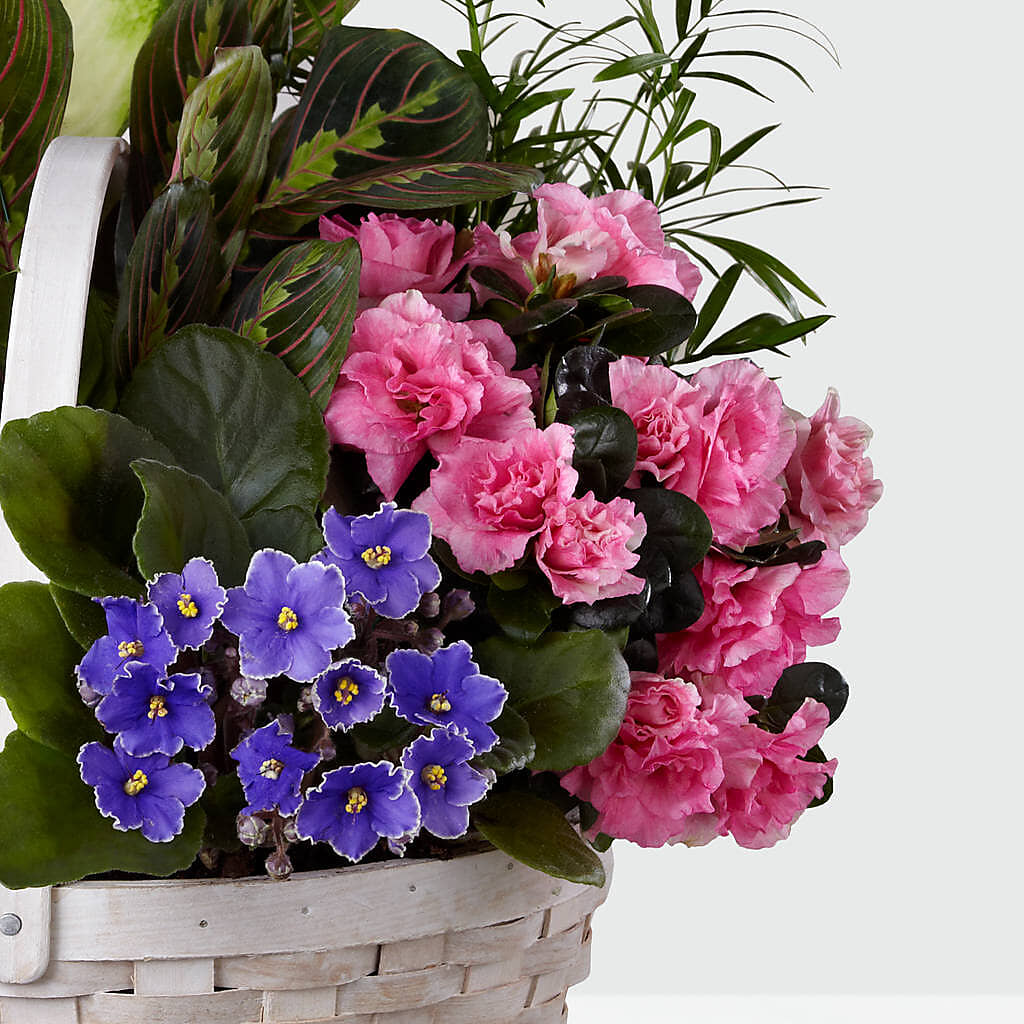 Peaceful Garden Planter – BELLE FLEURS & DESSINS, Lexington KY