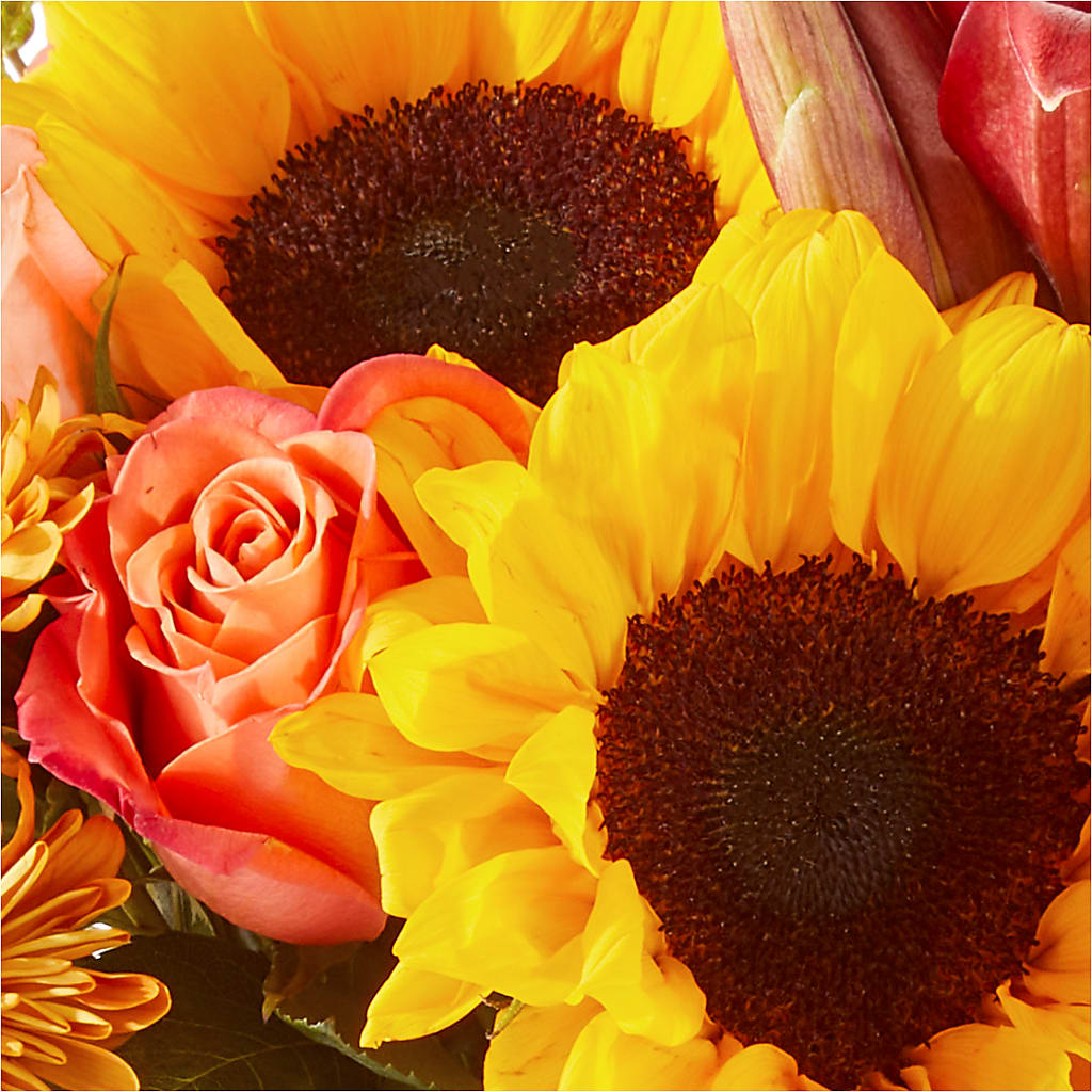Acorn Lane Bouquet – BELLE FLEURS & DESSINS, Lexington KY