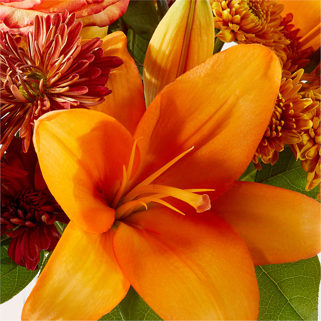 Autumnal Aroma Bouquet – BELLE FLEURS & DESSINS, Lexington KY