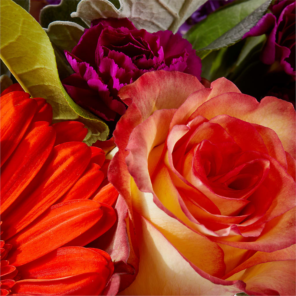 Sangria Bouquet – BELLE FLEURS & DESSINS, Lexington KY