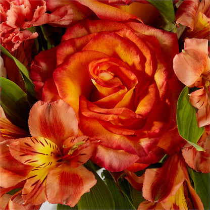 Apricot Glow Bouquet – BELLE FLEURS & DESSINS, Lexington KY