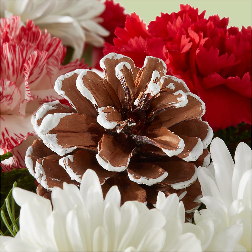 Candy Cane Lane Bouquet – BELLE FLEURS & DESSINS, Lexington KY