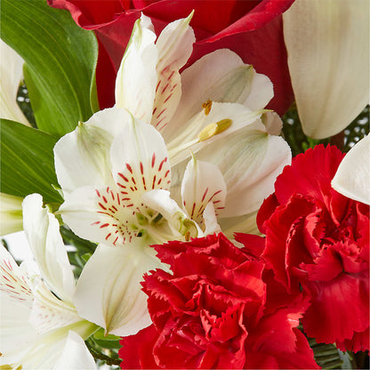 Holiday Season Bouquet – BELLE FLEURS & DESSINS, Lexington KY