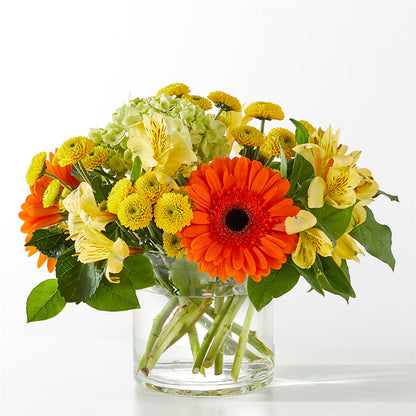 Autumn Sunshine Bouquet – BELLE FLEURS & DESSINS, Lexington KY