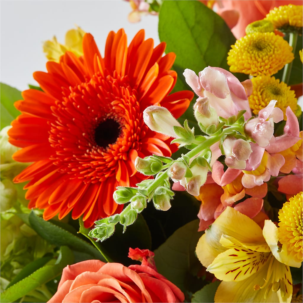 Autumn Sunshine Bouquet – BELLE FLEURS & DESSINS, Lexington KY