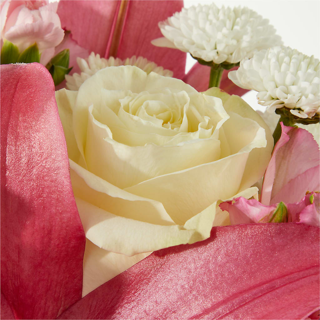 Piece of Cake Bouquet – BELLE FLEURS & DESSINS, Lexington KY
