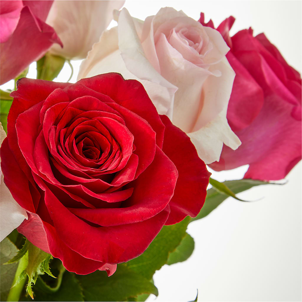 Charming Rose Bouquet – BELLE FLEURS & DESSINS, Lexington KY
