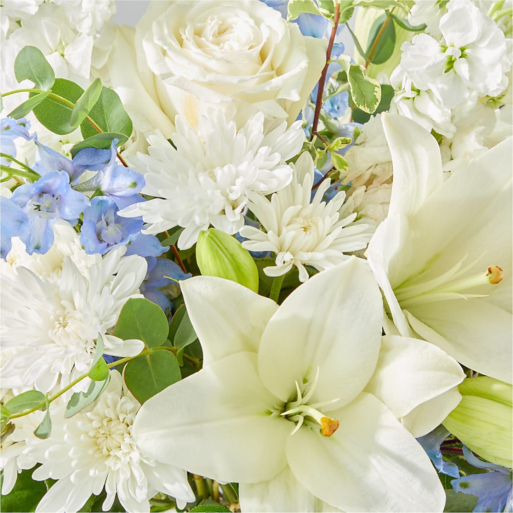 Peace of Mind Bouquet – BELLE FLEURS & DESSINS, Lexington KY
