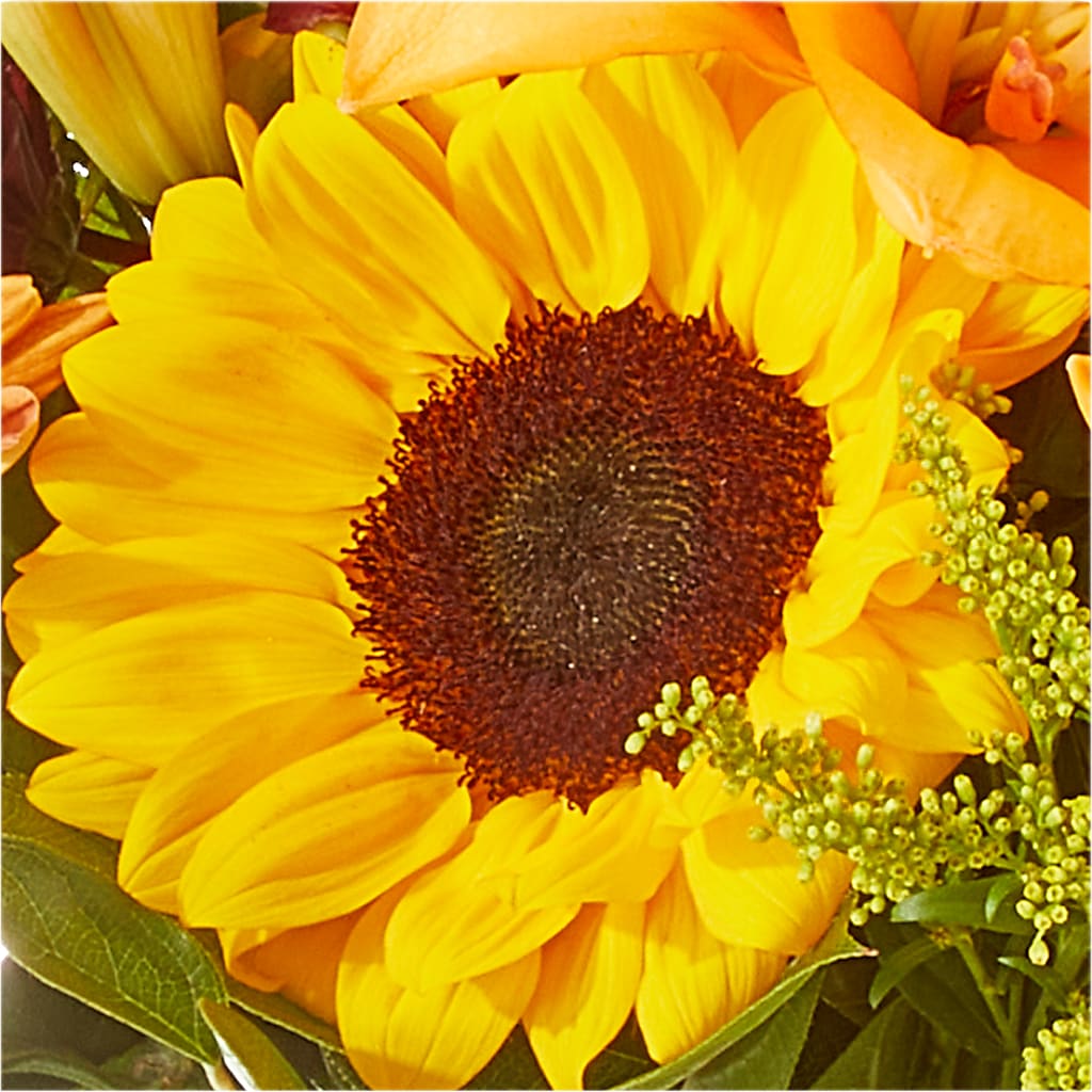 Seasons Change Bouquet – BELLE FLEURS & DESSINS, Lexington KY