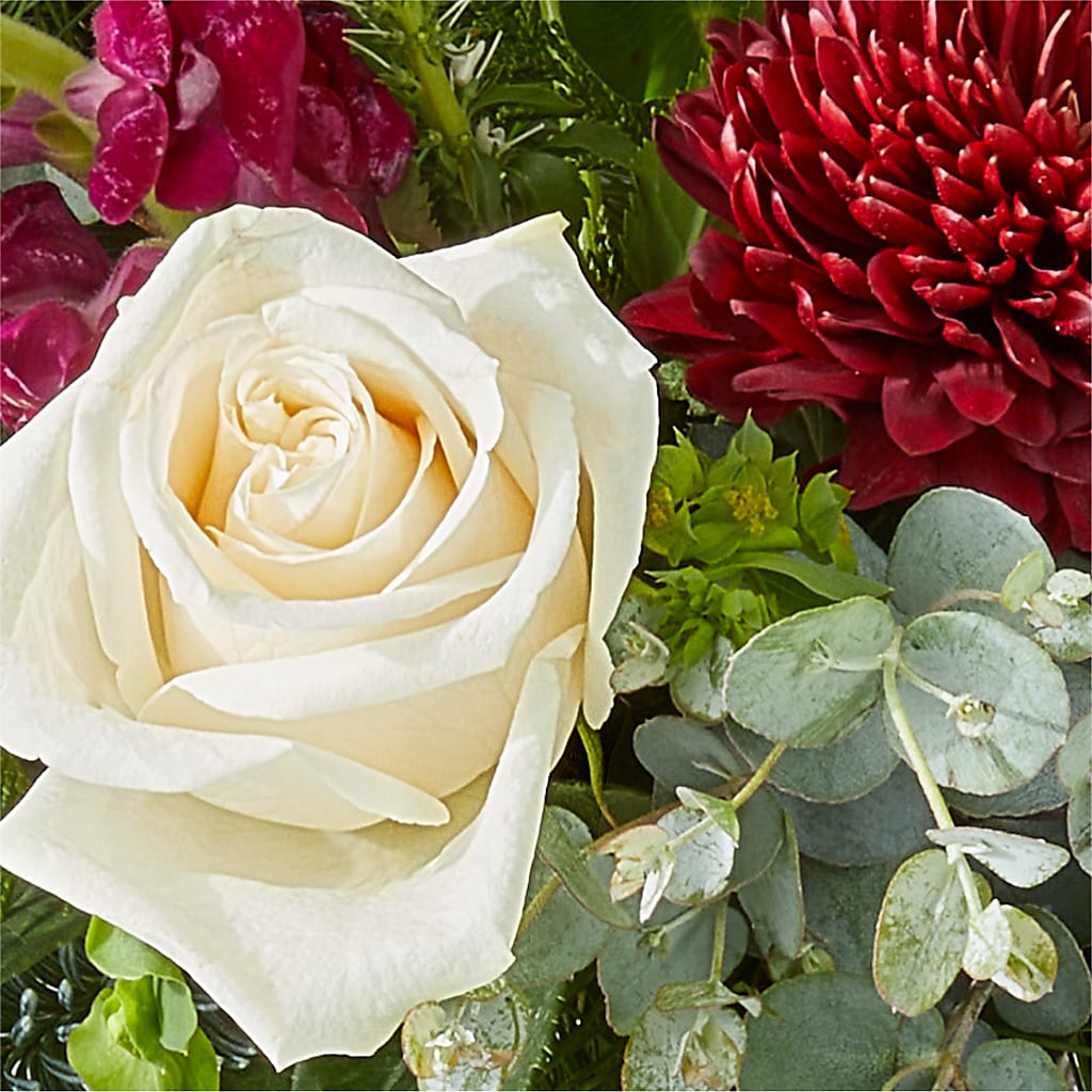 Cranberry Fizz Bouquet – BELLE FLEURS & DESSINS, Lexington KY