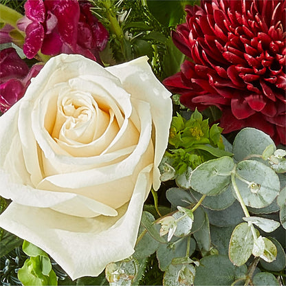 Cranberry Fizz Bouquet – BELLE FLEURS & DESSINS, Lexington KY