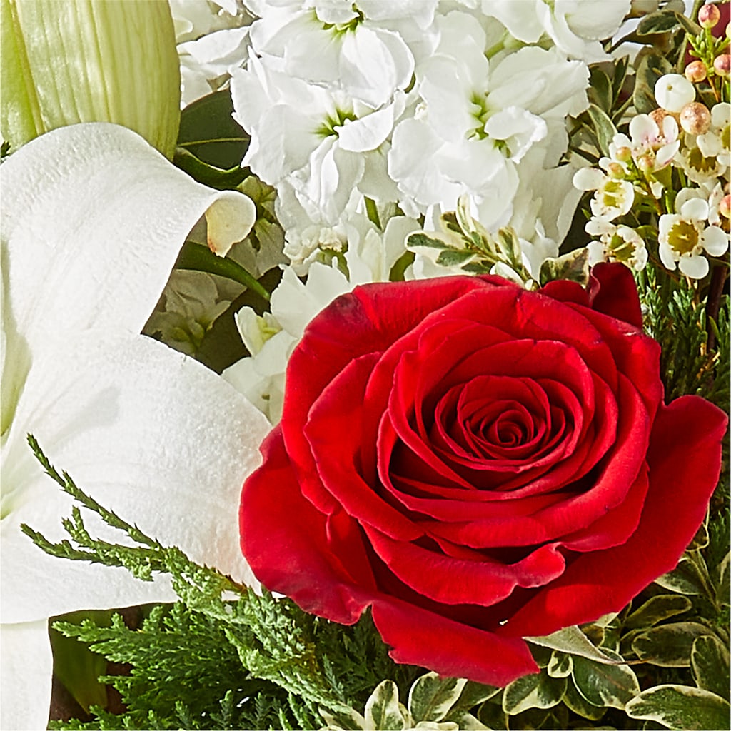 Twinkle Lights Bouquet – BELLE FLEURS & DESSINS, Lexington KY