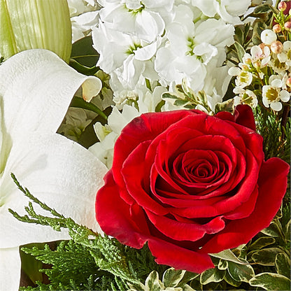 Twinkle Lights Bouquet – BELLE FLEURS & DESSINS, Lexington KY