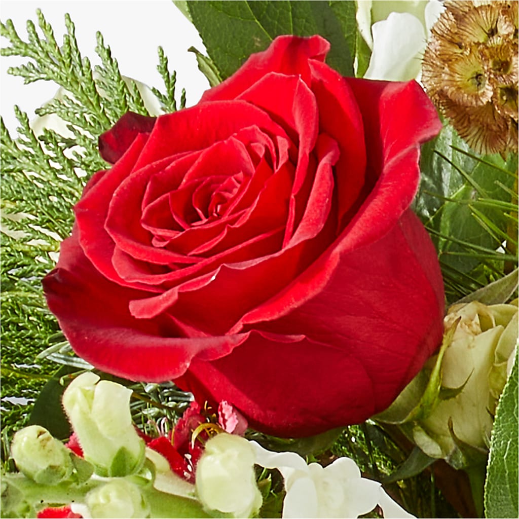 Deck the Halls Bouquet – BELLE FLEURS & DESSINS, Lexington KY