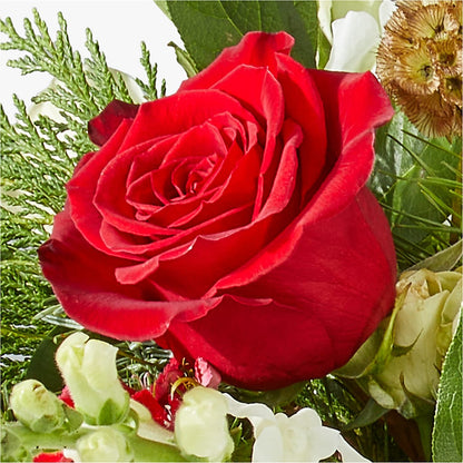 Deck the Halls Bouquet – BELLE FLEURS & DESSINS, Lexington KY