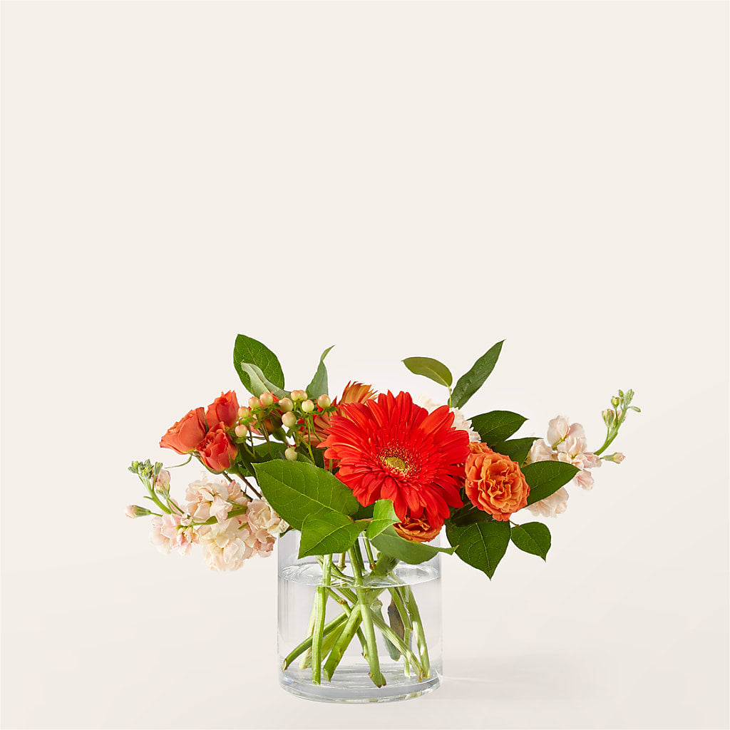 Paloma Please Bouquet – BELLE FLEURS & DESSINS, Lexington KY