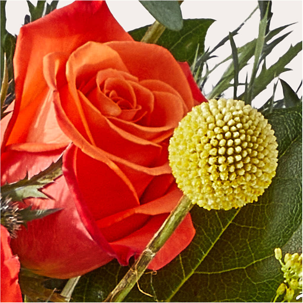 Disco Bouquet – BELLE FLEURS & DESSINS, Lexington KY