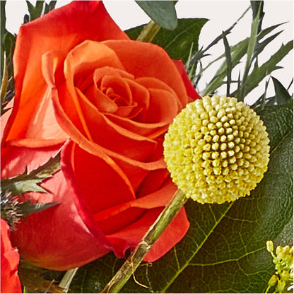 Disco Bouquet – BELLE FLEURS & DESSINS, Lexington KY