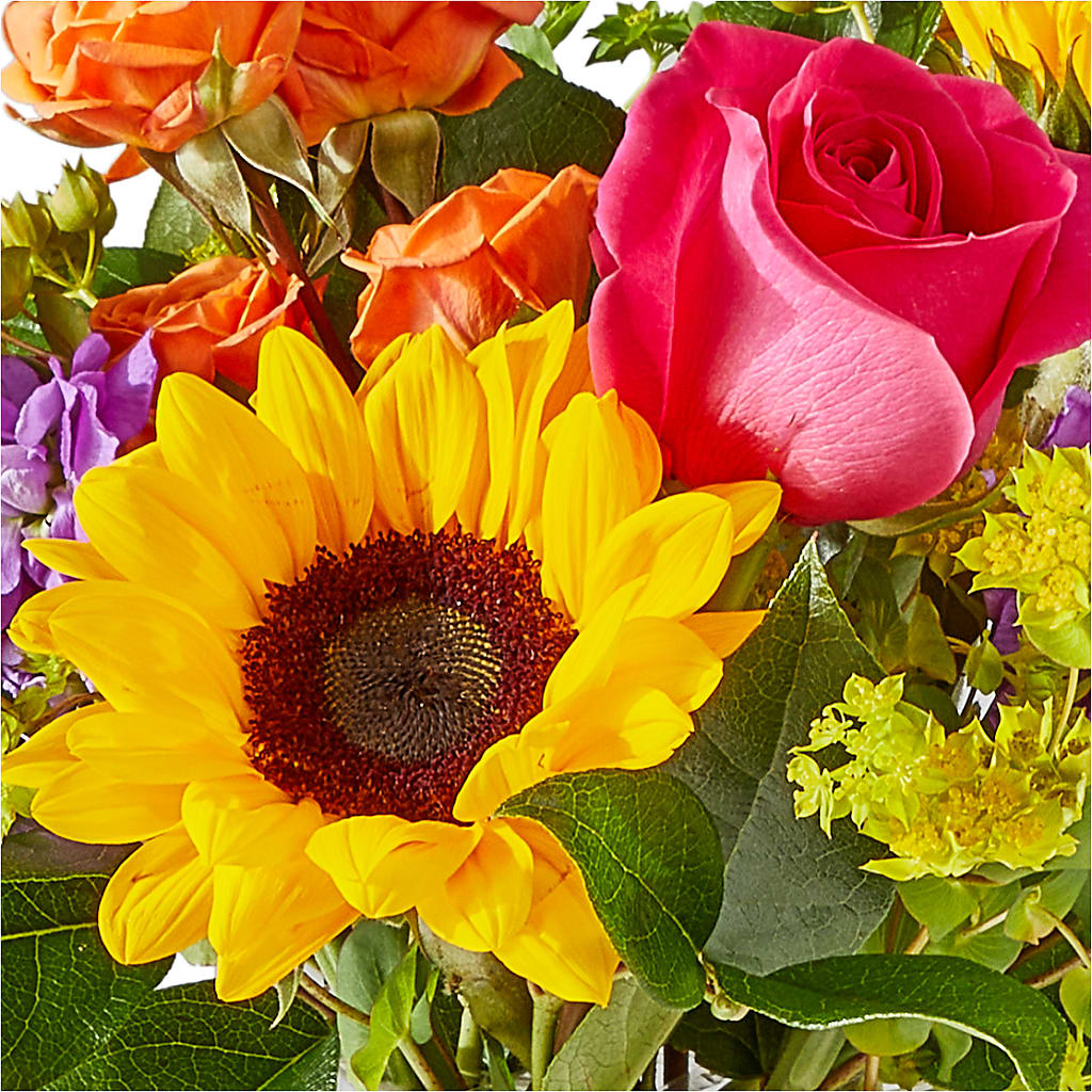 Vibrant Greetings Bouquet – BELLE FLEURS & DESSINS, Lexington KY