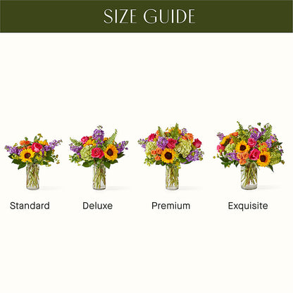 Vibrant Greetings Bouquet – BELLE FLEURS & DESSINS, Lexington KY