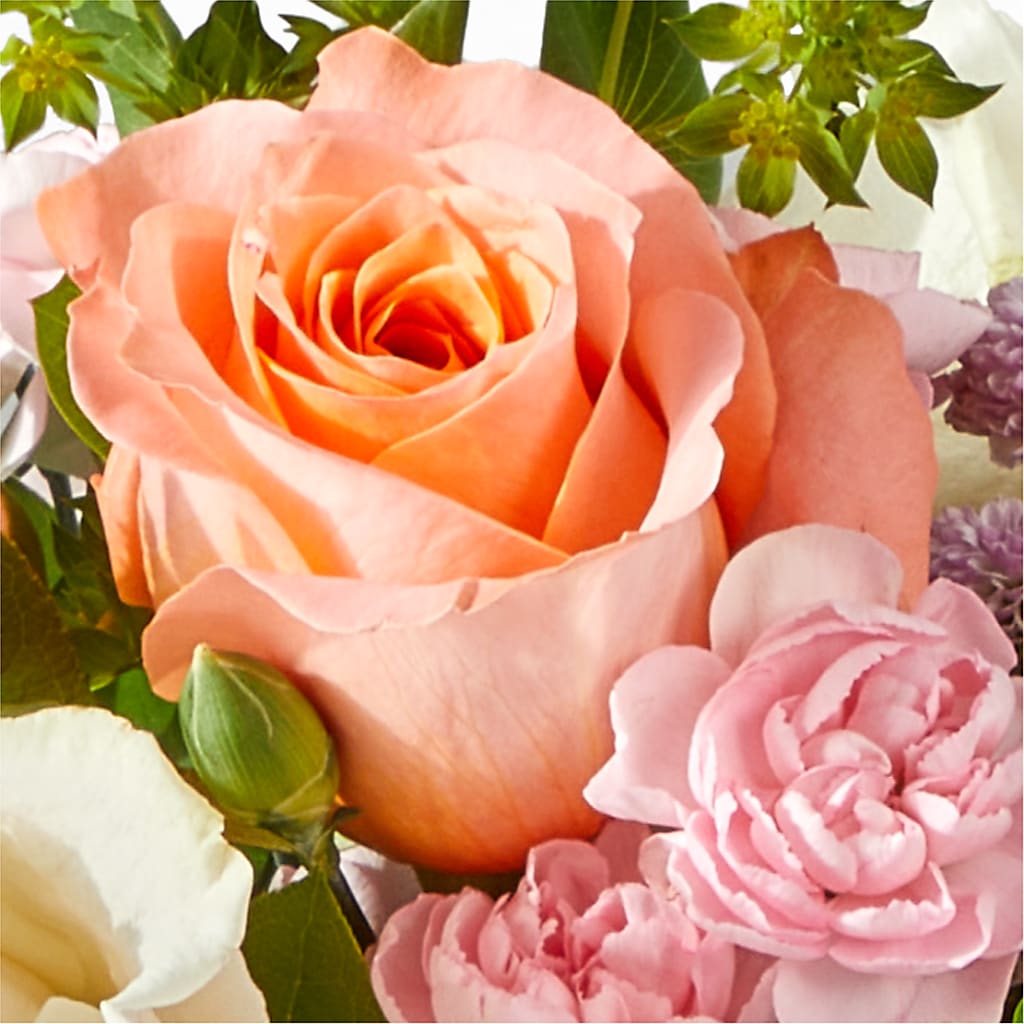 French Market Bouquet – BELLE FLEURS & DESSINS, Lexington KY