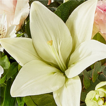 Ballet Slippers Bouquet – BELLE FLEURS & DESSINS, Lexington KY