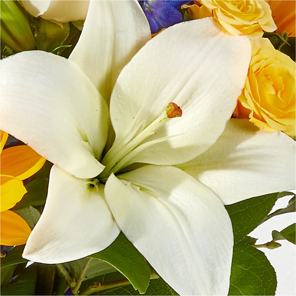 Wonderfully Sunny Bouquet – BELLE FLEURS & DESSINS, Lexington KY