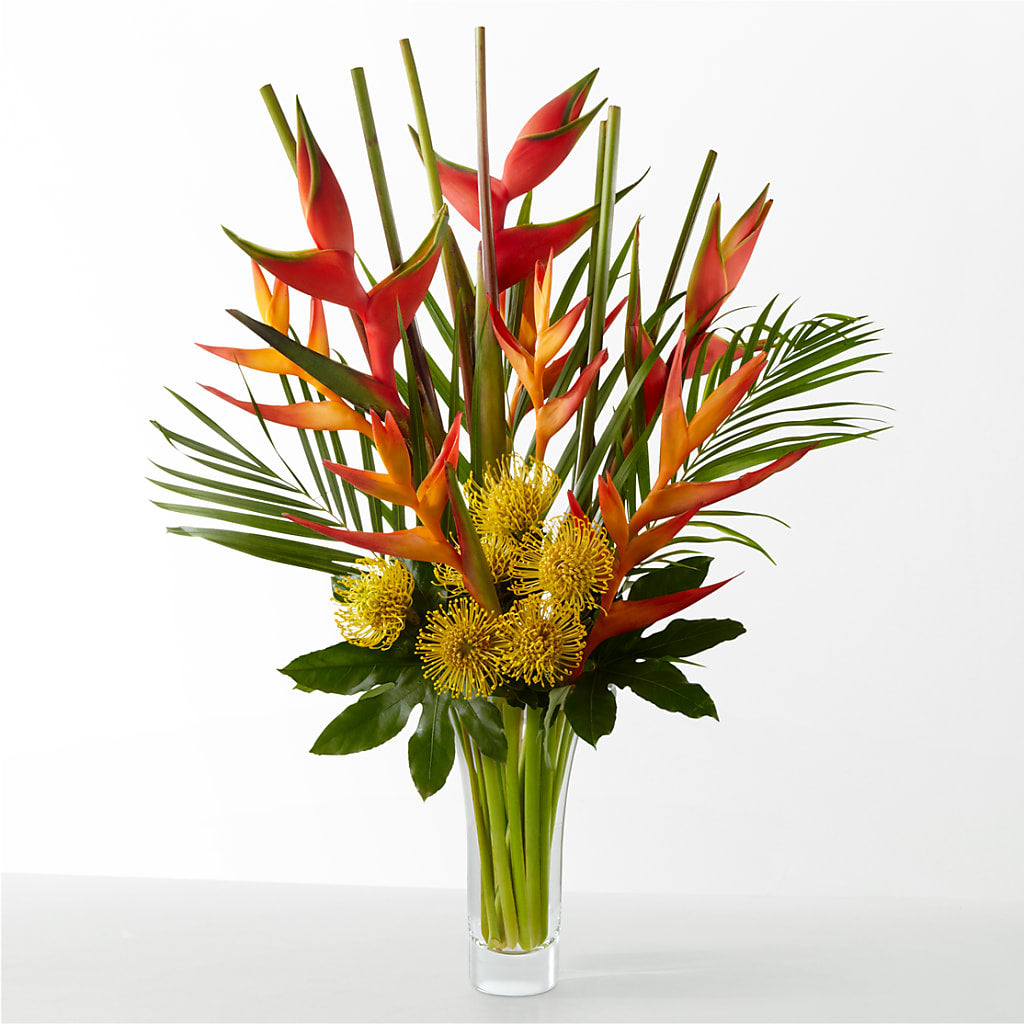 The Drama – BELLE FLEURS & DESSINS, Lexington KY