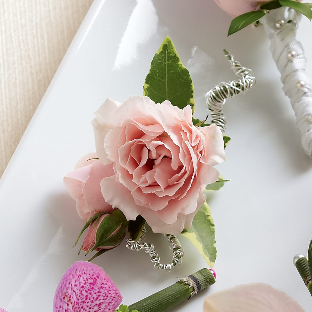 Pink Spray Rose Boutonniere – BELLE FLEURS & DESSINS, Lexington KY