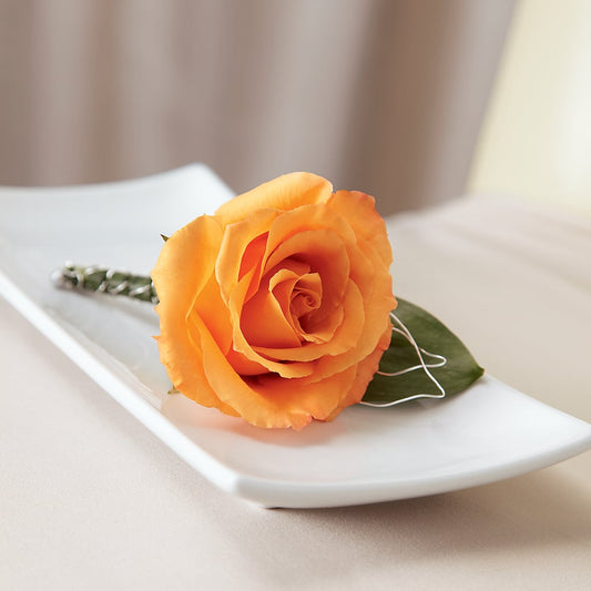 Lifetime of Love Boutonniere – BELLE FLEURS & DESSINS, Lexington KY