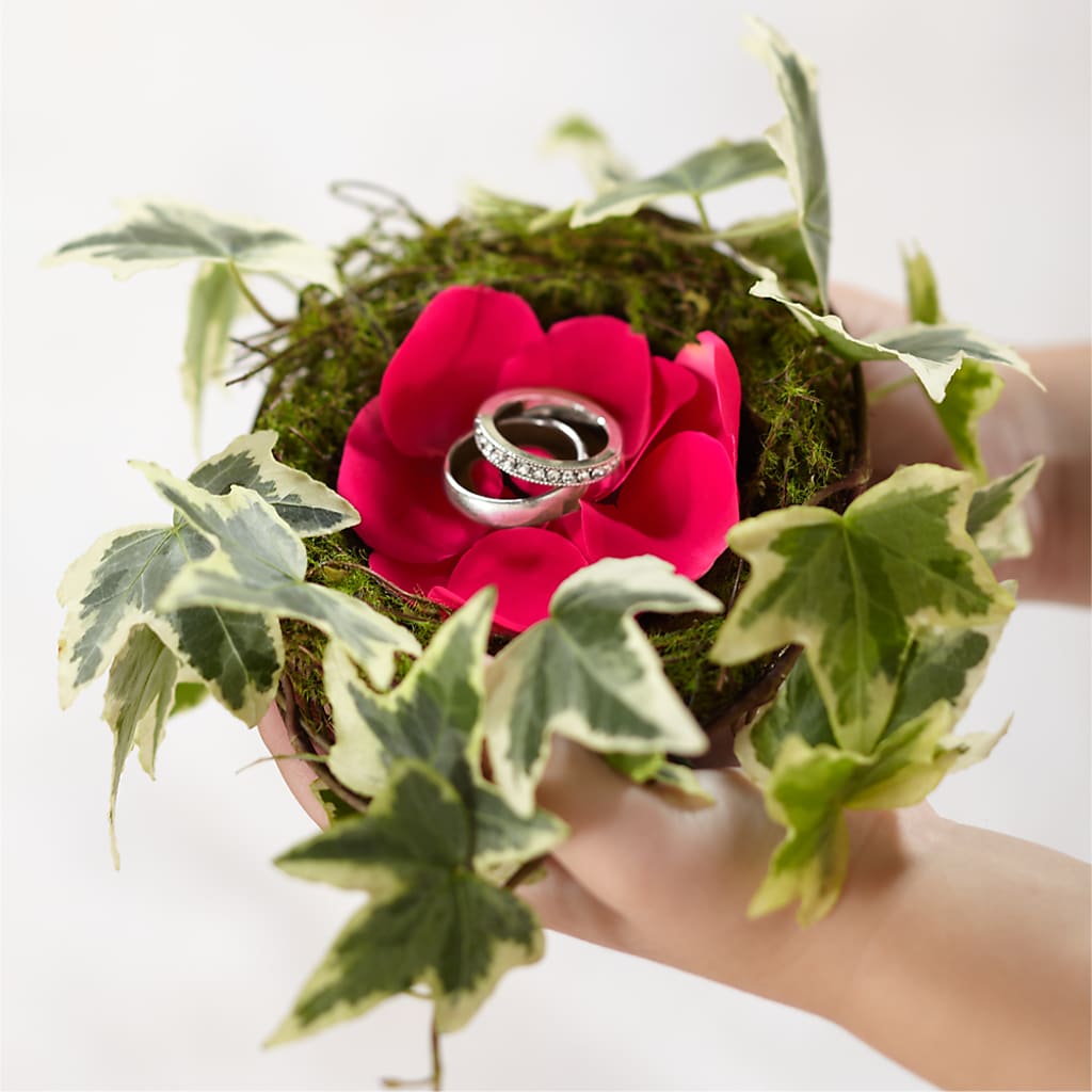 Lila Rose Ring Nest – BELLE FLEURS & DESSINS, Lexington KY