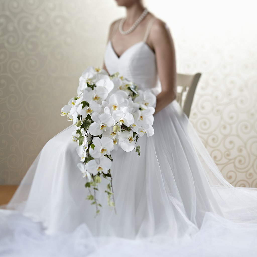 Classic White Bouquet – BELLE FLEURS & DESSINS, Lexington KY