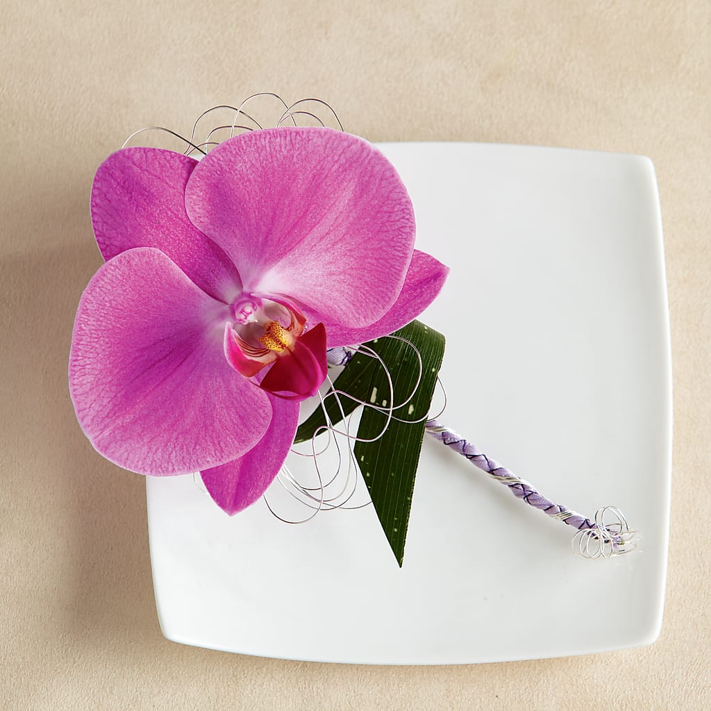 Glorious Boutonniere – BELLE FLEURS & DESSINS, Lexington KY