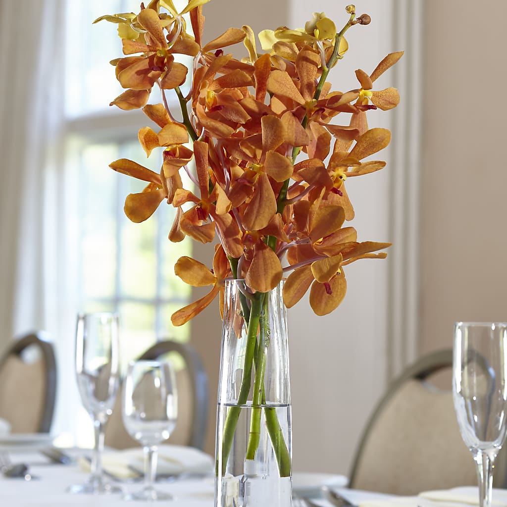 Orange Mokara Bud Vase – BELLE FLEURS & DESSINS, Lexington KY