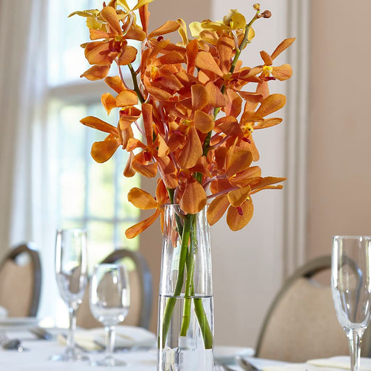 Orange Mokara Bud Vase – BELLE FLEURS & DESSINS, Lexington KY