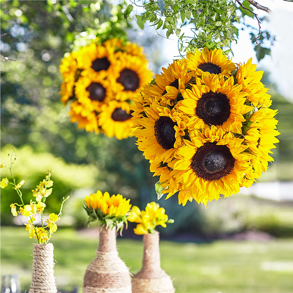 Sublime Garden Hanging Arrangement – BELLE FLEURS & DESSINS, Lexington KY
