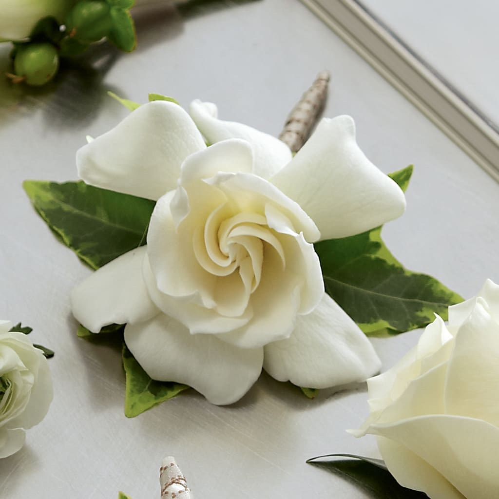 Gardenia Boutonniere – BELLE FLEURS & DESSINS, Lexington KY