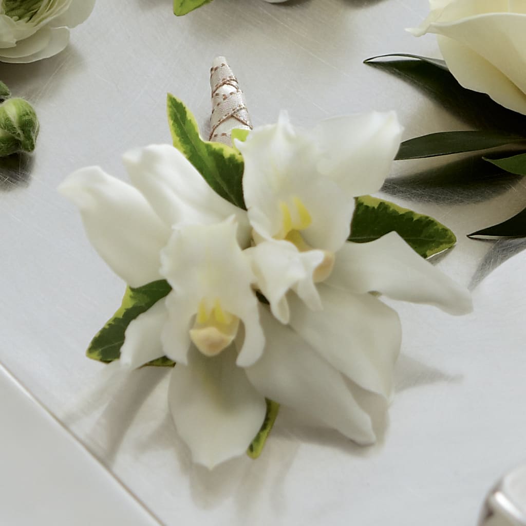 White Mini Cymbidium Boutonniere – BELLE FLEURS & DESSINS, Lexington KY