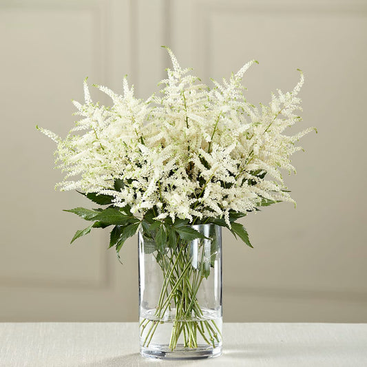 White Astilbe Bouquet – BELLE FLEURS & DESSINS, Lexington KY