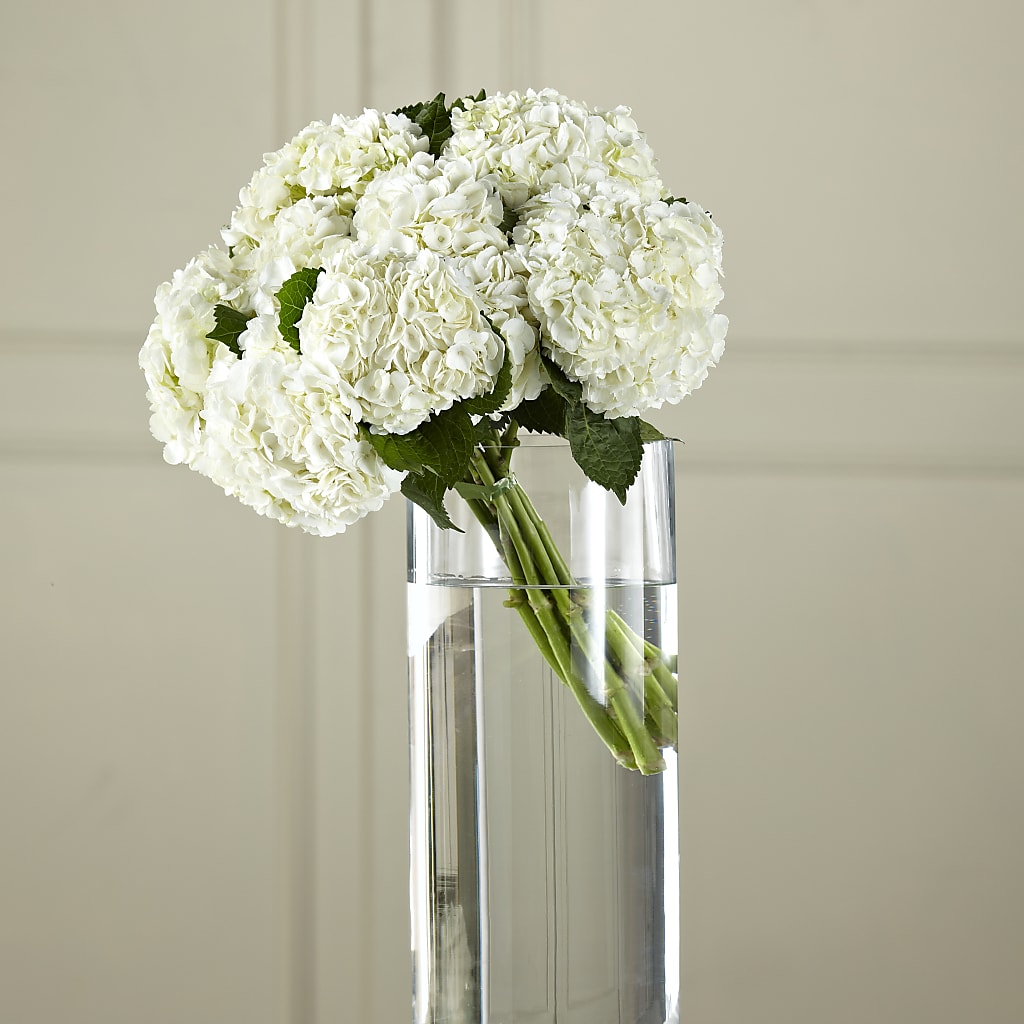 White Hydrangea Hand-Tied Bouquet – BELLE FLEURS & DESSINS, Lexington KY
